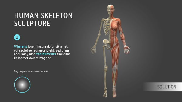 BODY PARTS