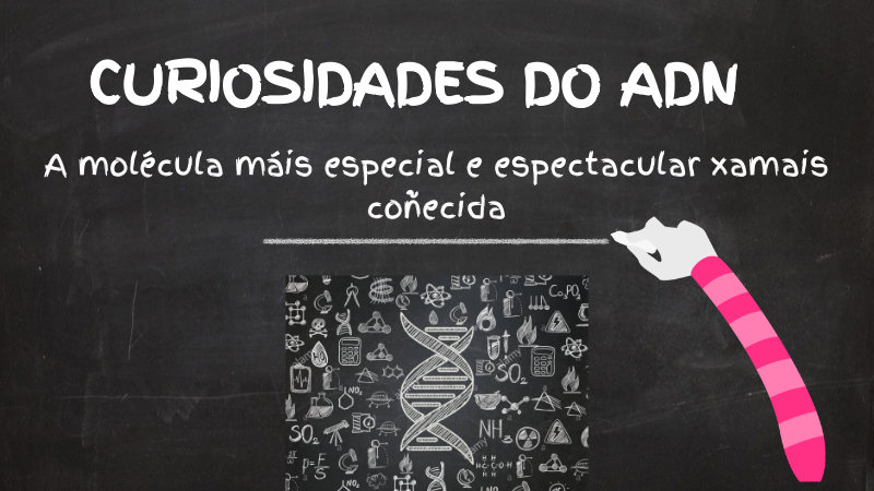 CURIOSIDADES DO ADN | Genially