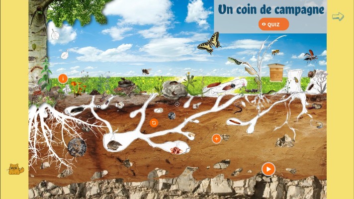 Un coin de campagne | Genially