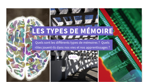 Different Type De Memoire view.genially.com