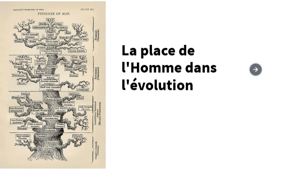 place de l'Homme | Genially