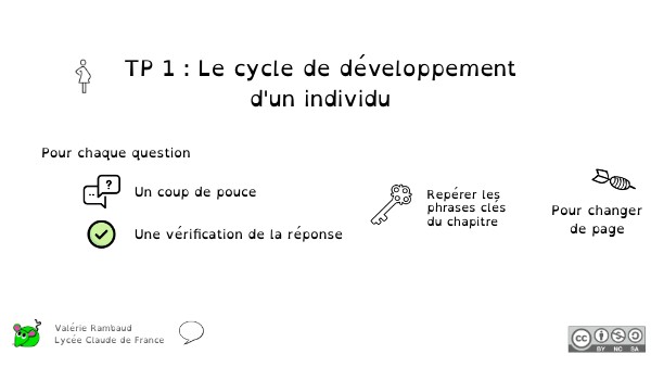 TP1 cycle developpement | Genially