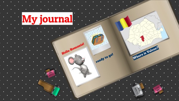 My journal