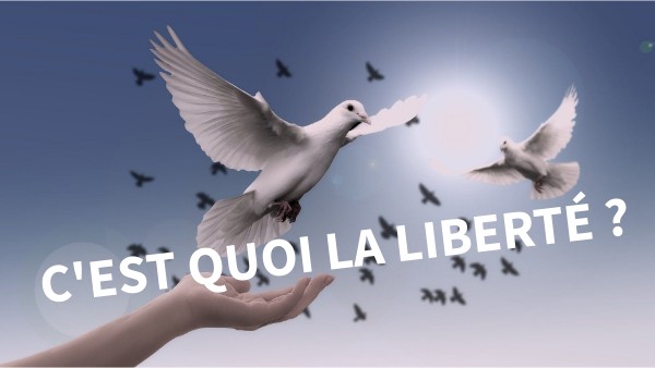 LIBERTÉ CM2B