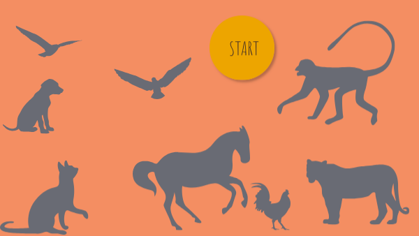 Save the animals | Genially