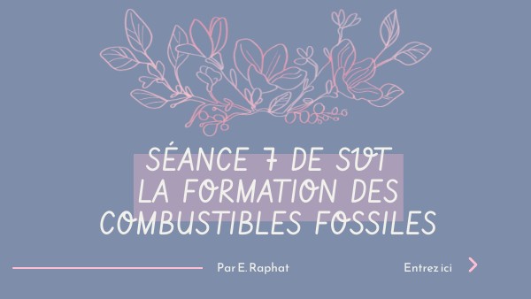 Formation Du Charbon Genially