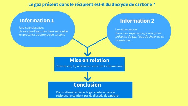 Exemples d'argumentation | Genially
