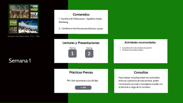 Semana 1 | Genially