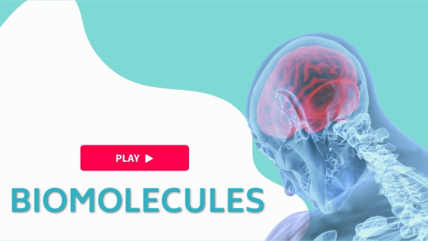 C4 Biomolecules & Enzymes | Genially