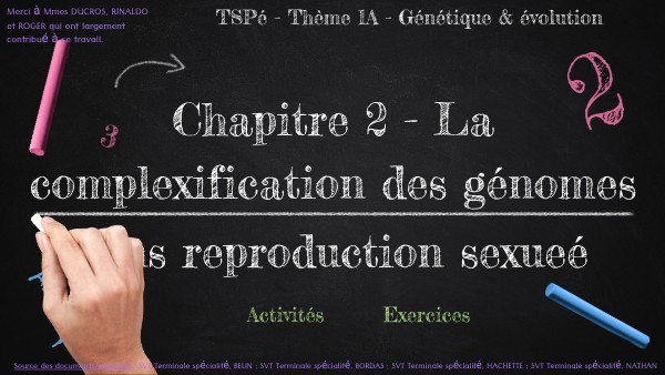 T - CH2 - La complexification des génomes