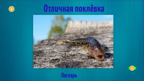Отличная поклёвка