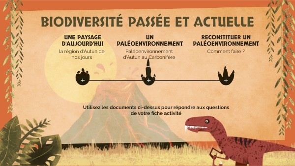 Biodiversité passée et actuelle | Genially