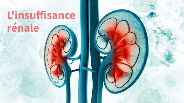 Insuffisance rénale | Genially