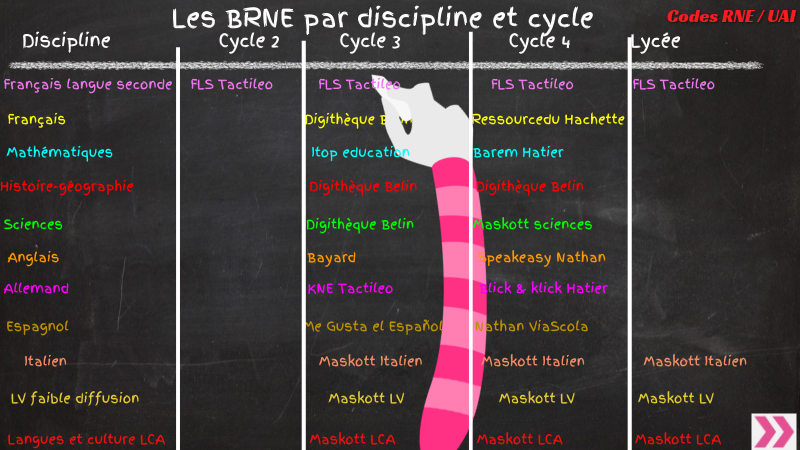 Les BRNE par discipline et cycle