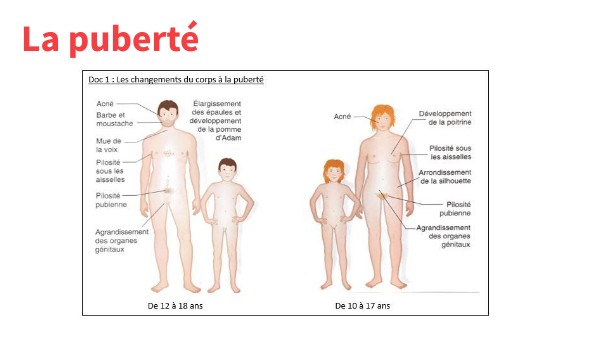 La puberté (6ème) | Genially