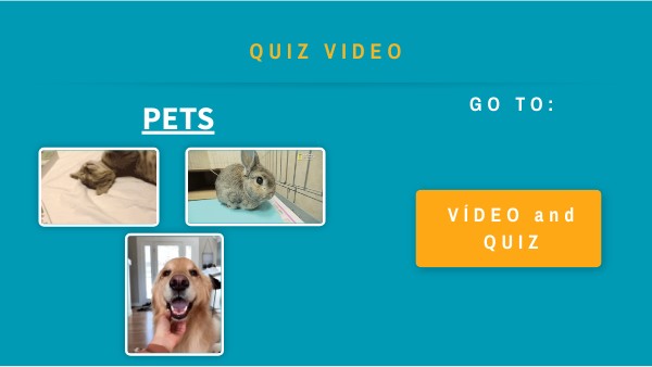 Pets | Genially