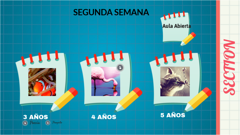 SEGUNDA SEMANA FOZANELDINFANTIL | Genially