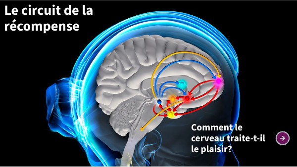 Circuit de la récompense | Genially
