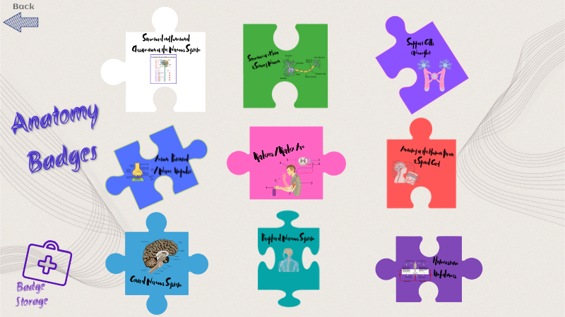 Anatomy Nervous System Badge Program