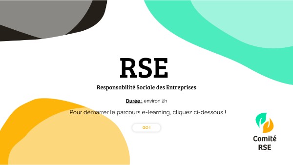 Parcours e-learning RSE - Comité RSE