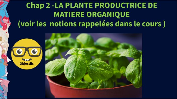 Production de matière organique | Genially
