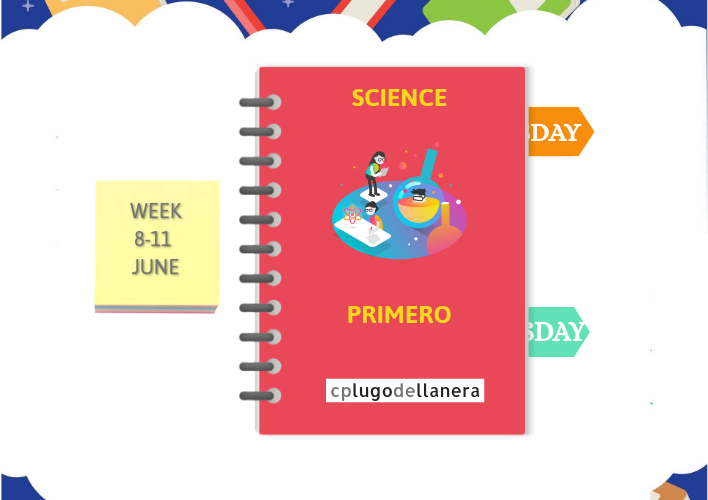 SCIENCE 8-11 JUNE