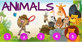animals | Genially
