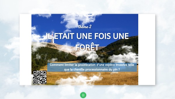 T-shirt Vintage Promotionnel "Il était Une Fois Une Forêt" - Taille Enfant 6-8 Ans (S), Occasion Parfait état, Fruit Of The Loom