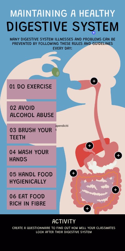 maintaining-a-healthy-digestive-system