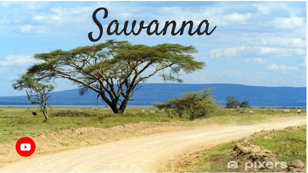 Sawanna klasa 5 | Genially