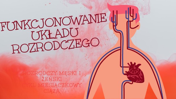 Bilogia Sprawdzian 2 Gimaznjum Uklad Rozrodczy Układ rozrodczy kl 4 | Genially