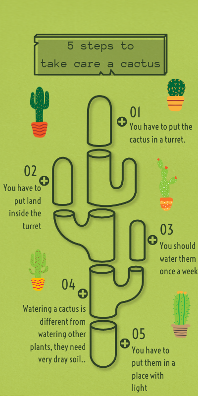 Cactus | Genially
