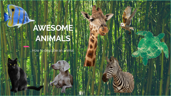 Animals | Genially