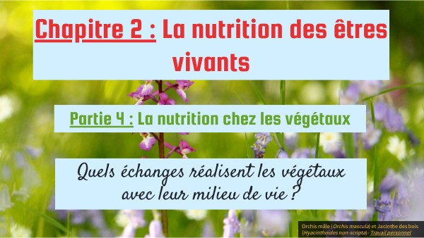 5ème : C2-P4 : La nutrition des végétaux | Genially