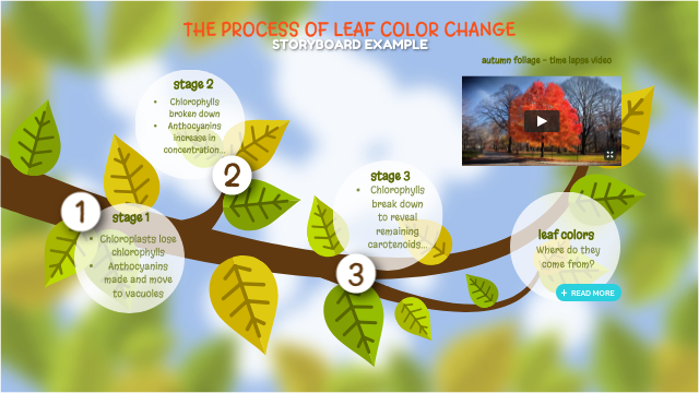 The Process of Leaf Color Change | Genially