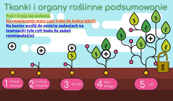 Tkanki I Organy Roslinne Test Klasa 5 - Tkanki i organy roślinne- wersja skrócona | Genially