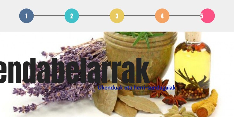 Sendabelarrak ikasleentzat | Genially