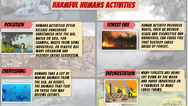 Harmful humans activities | Genially