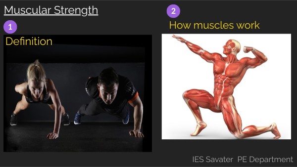 Muscular Strength 4ESO