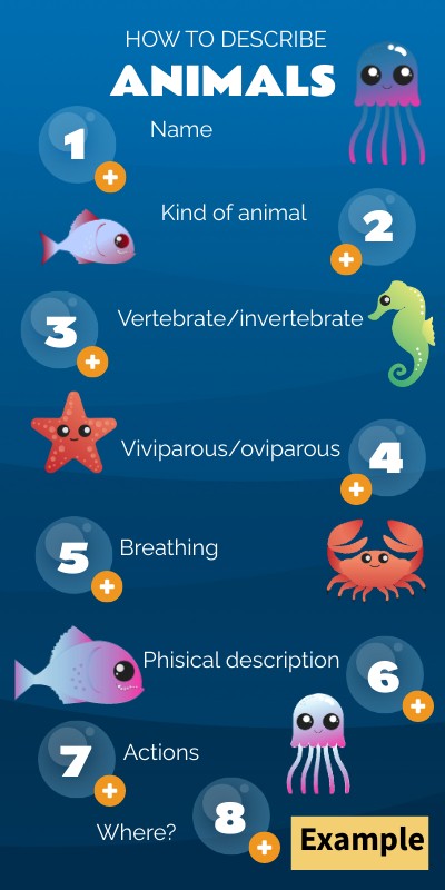 Describing animals | Genially