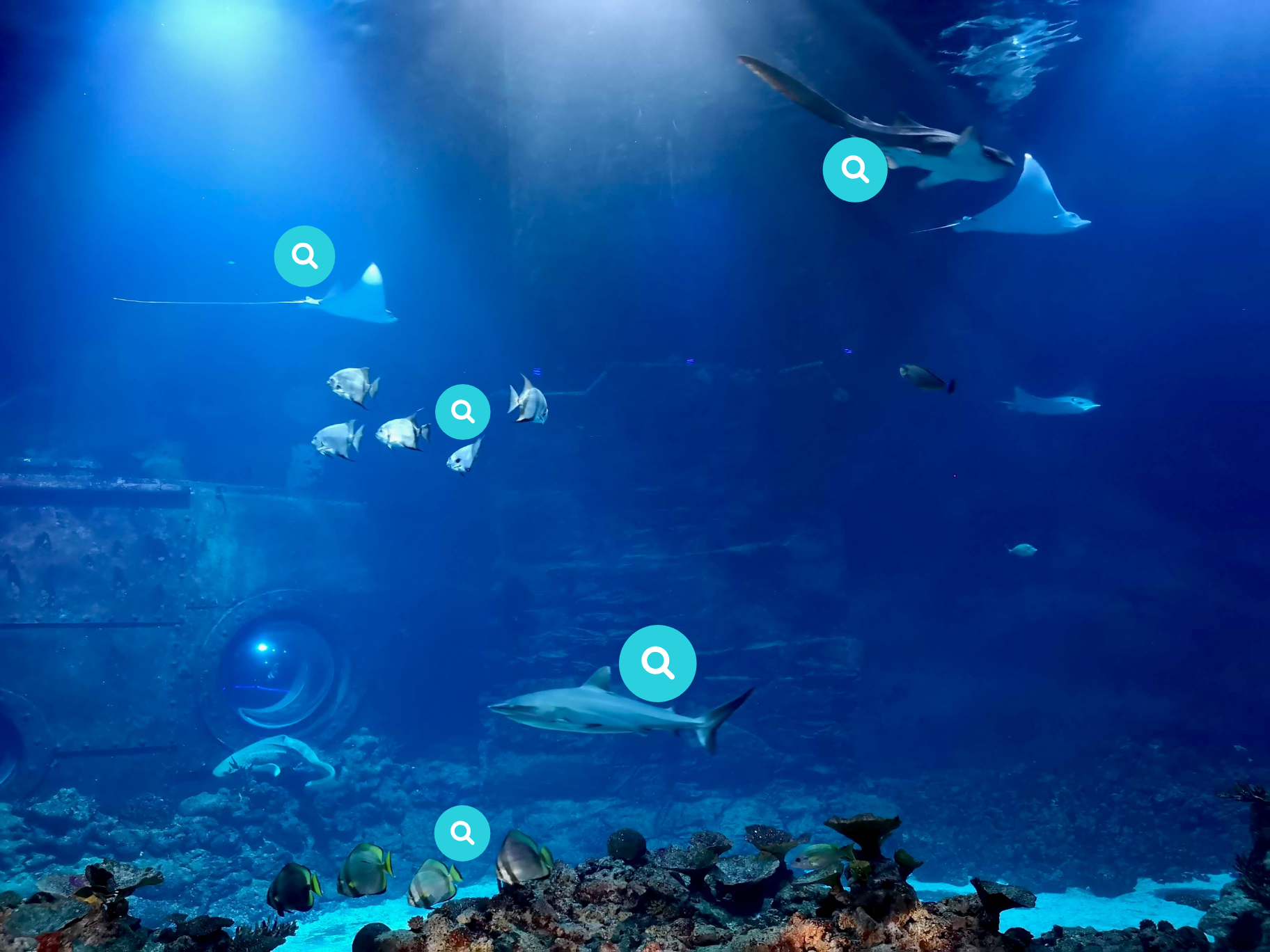 Interactive image