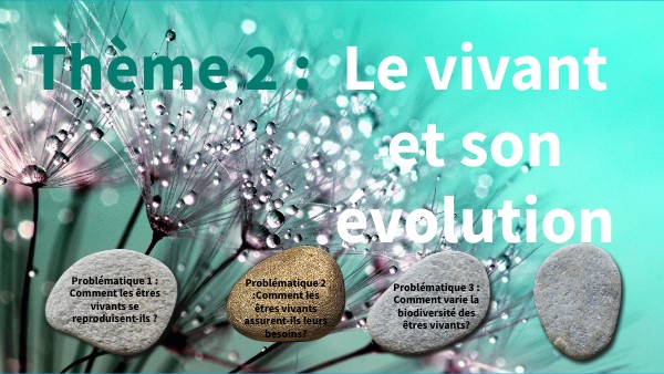 Théme 2 vivant 5ème