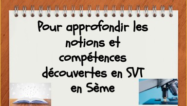 révision 5 | Genially