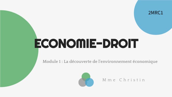 Module 1 eco GESTION Mylene