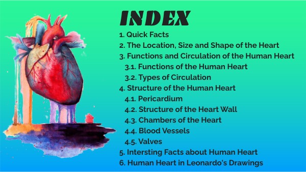 Task 1.2 Heart Anatomists