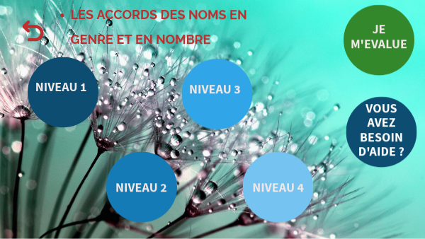 ACCORD DES NOMS EN GENRE ET EN NOMBRE | Genially