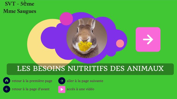 5é Nutrition | Genially