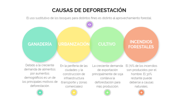 Cual Es La Causa De La Deforestacion view.genially.com