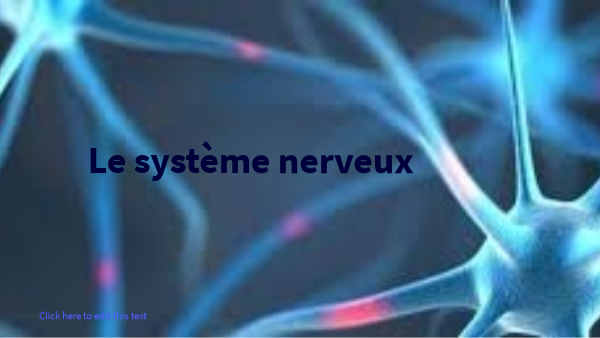 le système nerveux 5ème