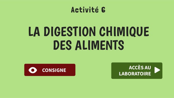 La digestion chimique des aliments